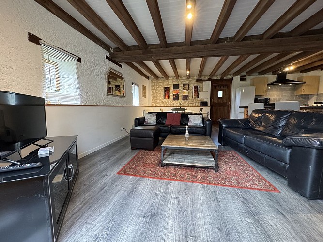 Salon avec Tv_Gîte La Grange d'EsusTerra_Aubigné Racan