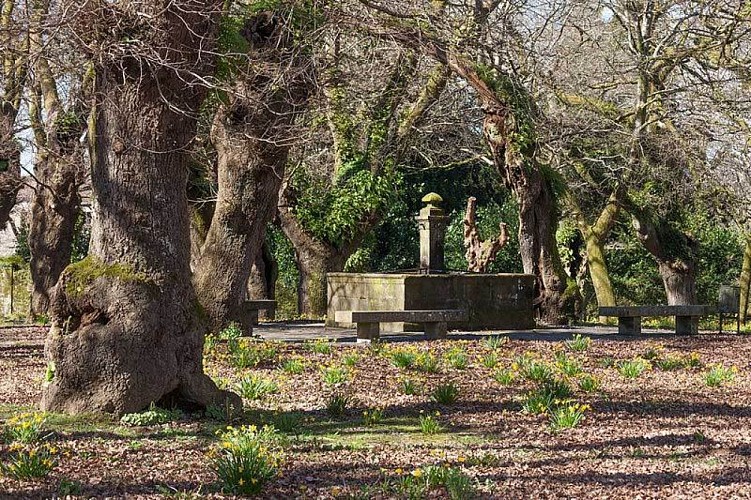 SAN LOURENZO’S CARBALLEIRA