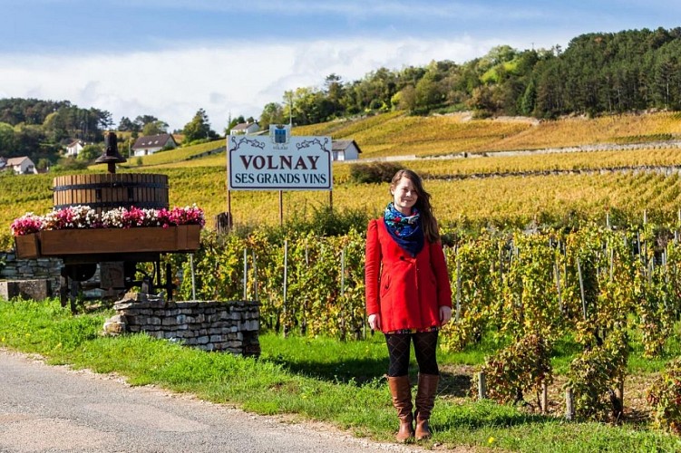 Route des grands crus