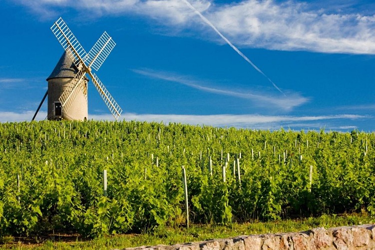 Région de la vallée du Rhône