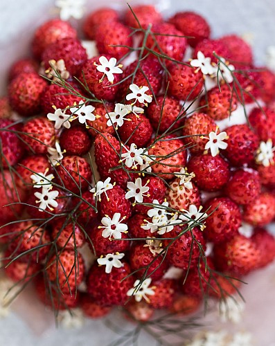 Restaurant Frédéric Molina * Au Moulin de Léré