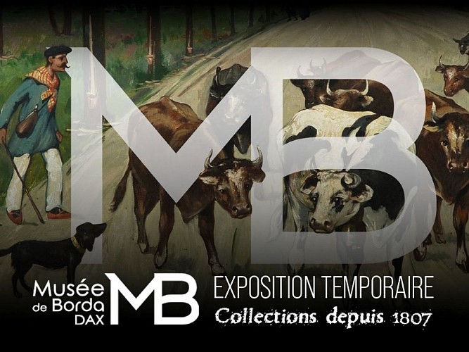 vignette collection-1200x900