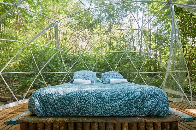 Bulle - Forêt de Chataîgnier