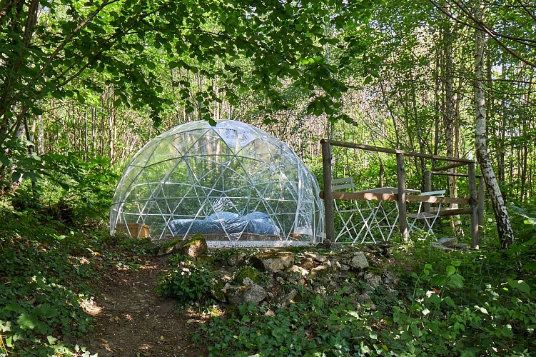 Bulle - Forêt de Chataîgnier