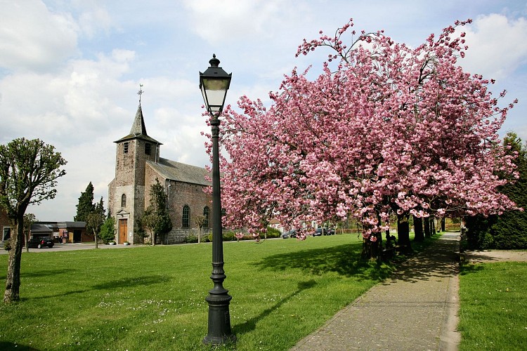 Place de Balâtre et l'église Sainte-Aldegonde