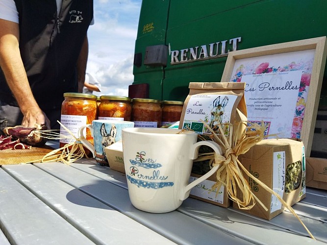 Didier Pernet Paturage Itinérant (1)