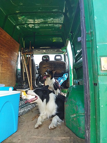 Didier Pernet Paturage Itinérant (14)