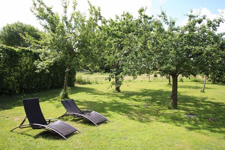 H8235-courtils-la-goutte (2)