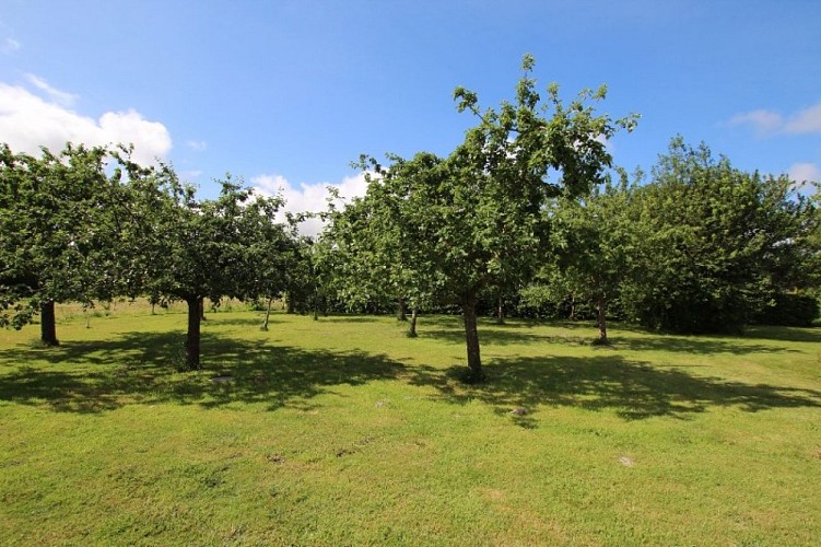 H8235-courtils-la-goutte (11)