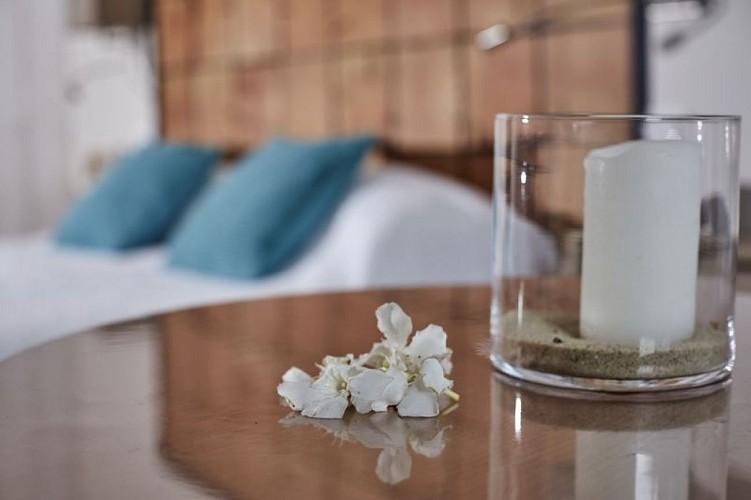 Salamandre et Hippocampe Bassin Arcachon 2023 (21)