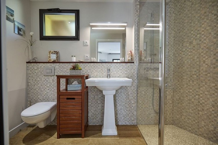 Salamandre et Hippocampe Bassin Arcachon 2023 (24)