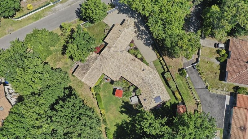 Salamandre et Hippocampe Bassin Arcachon 2023 (1)