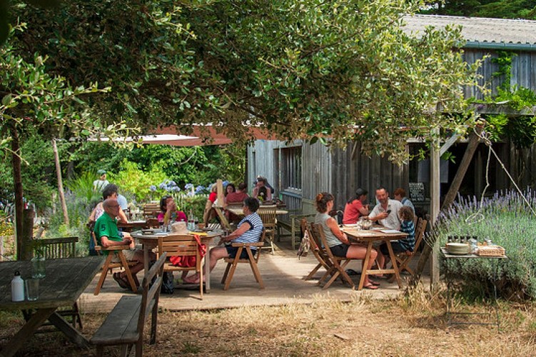 La Ferme d'Emilie - La Table de la Ferme