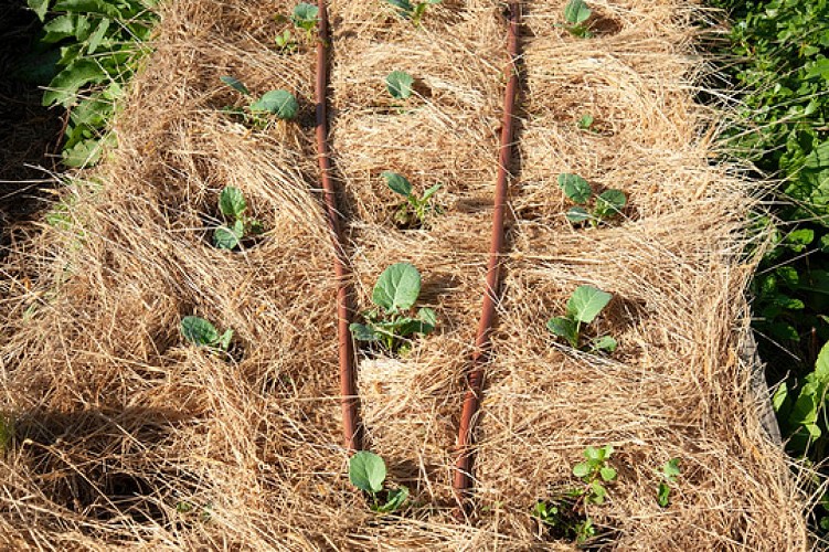 La Ferme d'Emilie - La Table de la Ferme