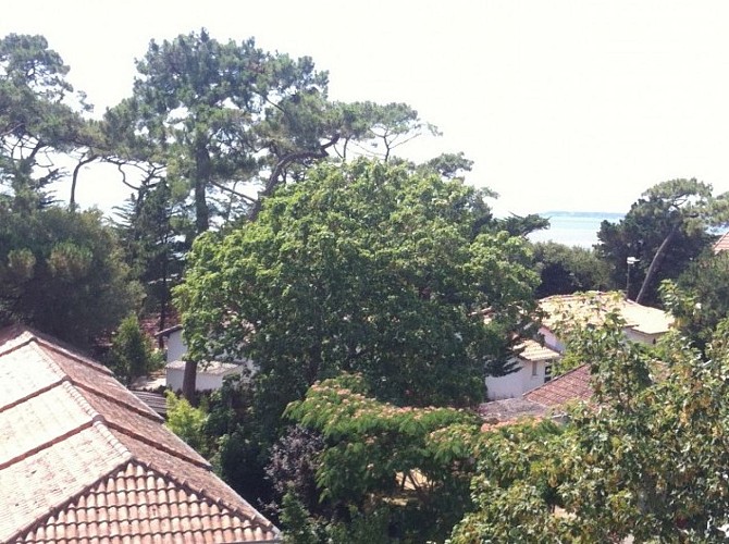 APPARTEMENT T2 BIS VUE EXCEPTIONNELLE