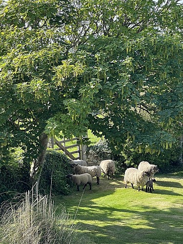 Hotel du Cap-loubere-6