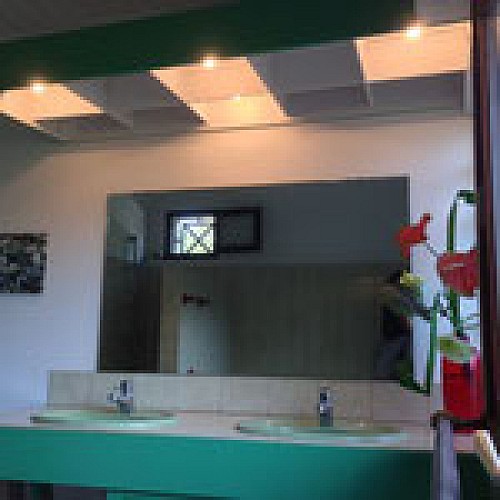image (5)