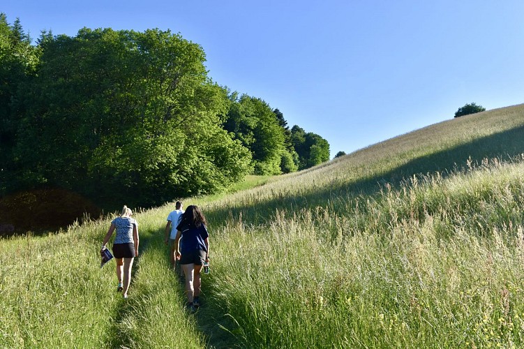 Kilian Combey : activités natures