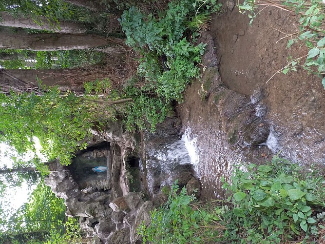Bois du Carieul au coeur de Souchez