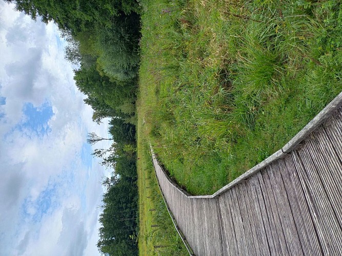 Bois du Carieul au coeur de Souchez