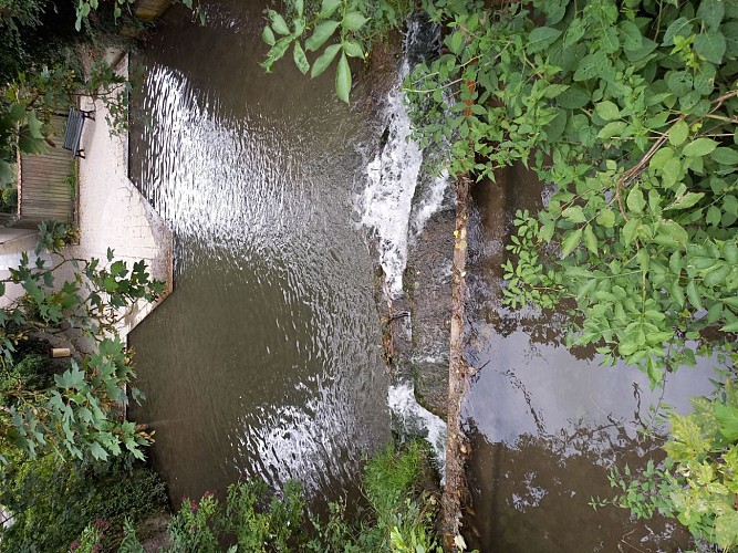 Bois du Carieul au coeur de Souchez