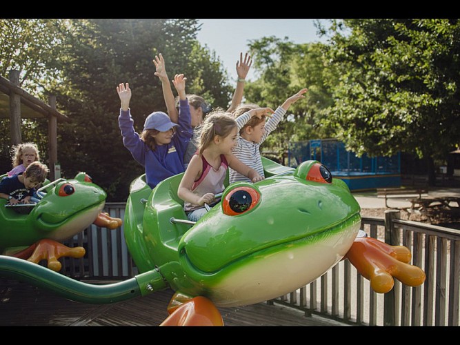 PARC-LACOCCINELLE-GRENOUILLE-23-09-2023-13 (1)