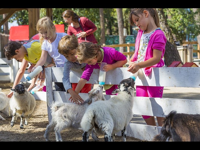 -N4C6462 (1) 800x600