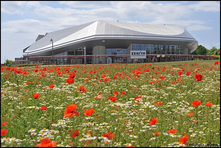 Zénith Caen - Exterieur coquelicots - ©Zénith de Caen_FDecaens-min
