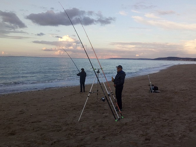 Surfcasting avec Normandie Fishing sur une plage