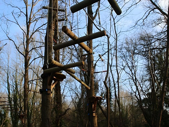 Ascencion-dans-les-arbres