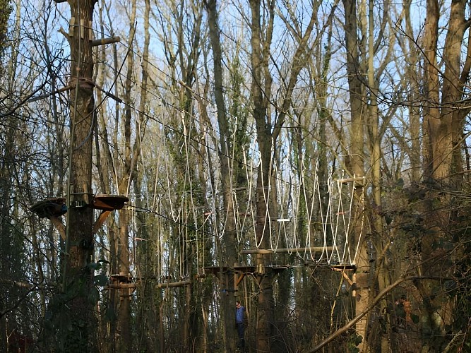 Parcours-dans-les-arbres