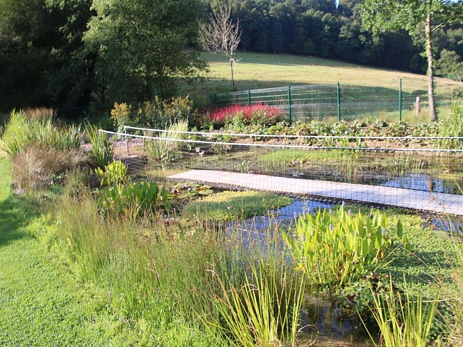 Jardin-pieds-nus-Normandie-luge-a-Carville--TIS3-