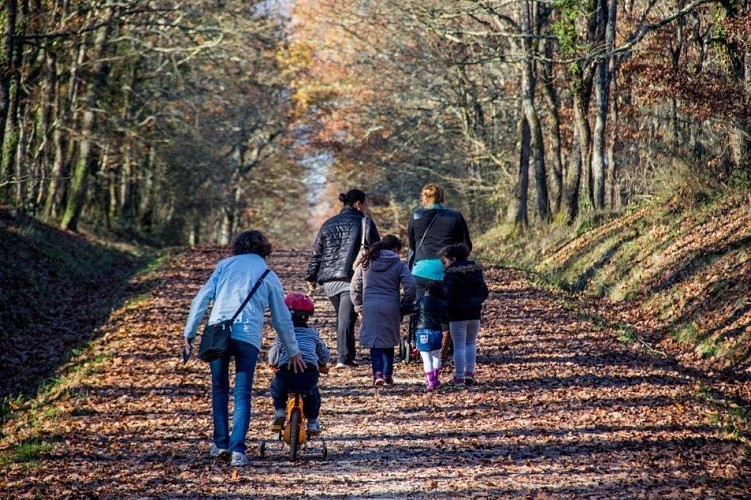 foret de BUZET c Elisabeth MATHIEU