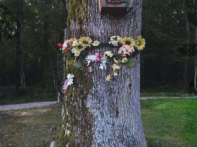 Le Chêne de la Vierge