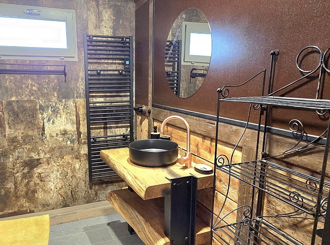 Hatton Horse Box - Fresnay-sur-Sarthe - salle de douche