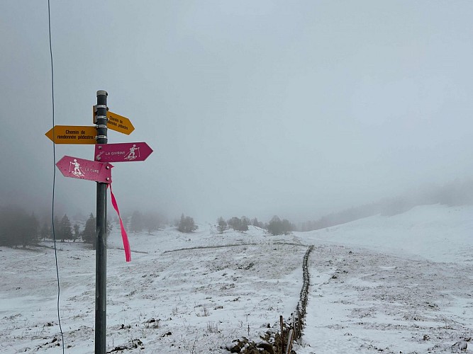 39 La Cure 6.8 km (23/01/2025)