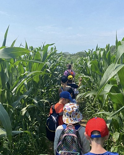 Dédales d'Opale - Le laby de Fanny