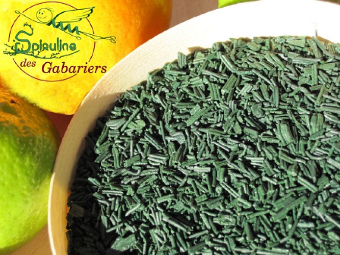Spiruline en paillettes_1