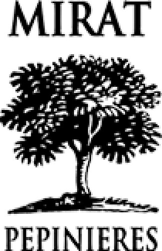 pepinieres-mirat-brive-la-gaillarde