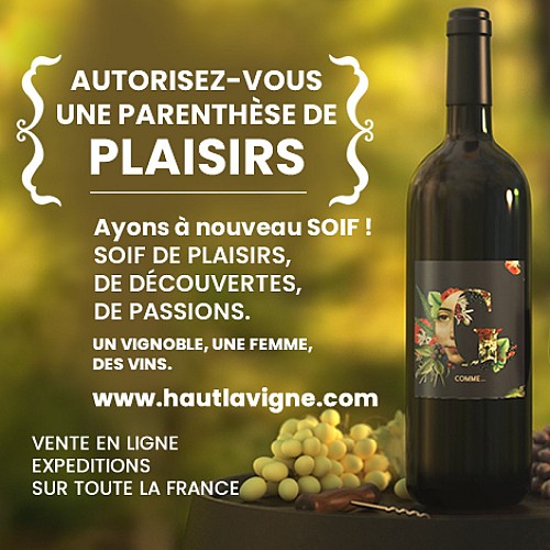 Château Haut Lavigne Viti (3)