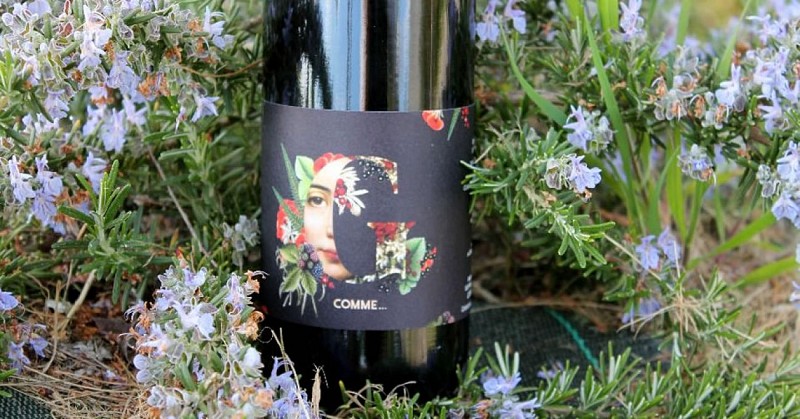 Château Haut Lavigne Viti (2)