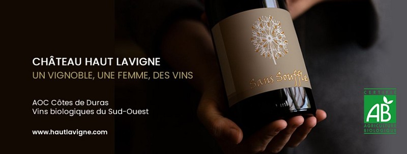 Château Haut Lavigne Viti (1)