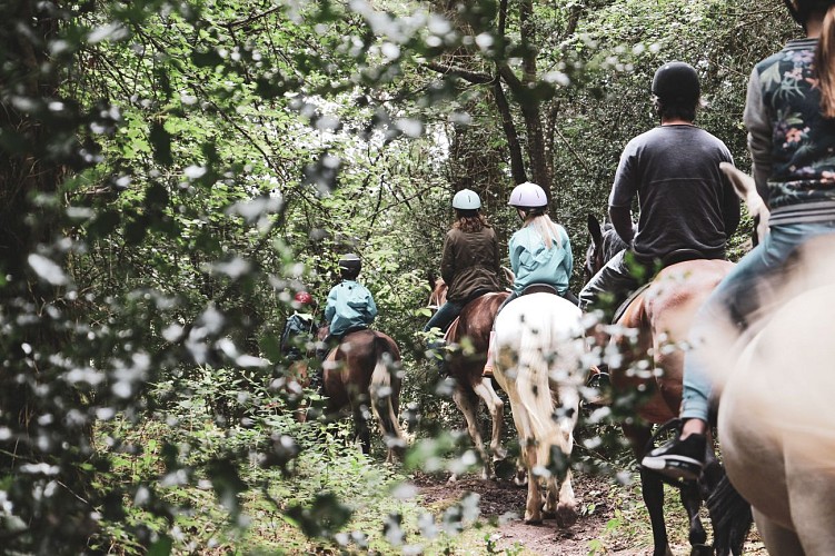 Centre équestre du lac de Trémelin ©office de tourisme du pays de Montfort (27)-2