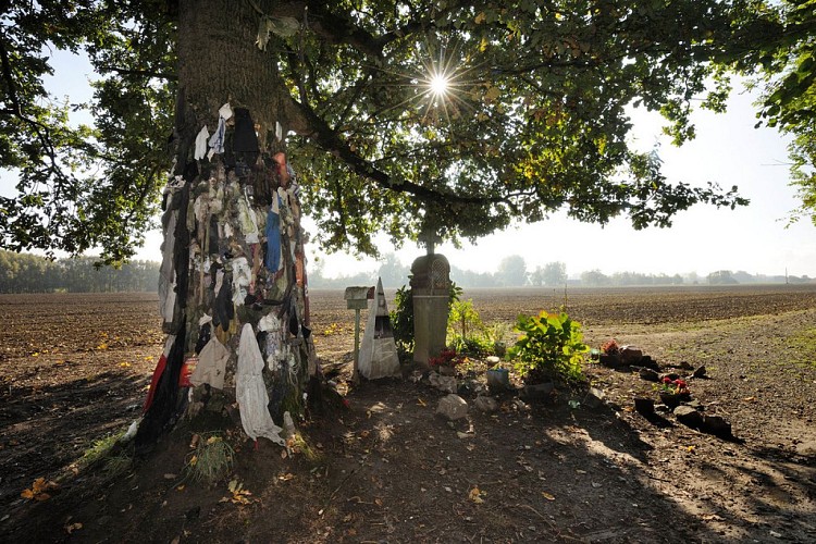 Le chêne à clous et la chapelle Saint-Antoine de Padoue