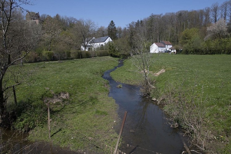 Le pré du Sart et la noue de Grignard