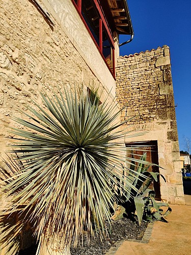 La Suite Niortaise - extérieur