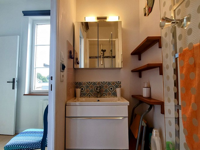 Salle d'eau avec lavabo et douche