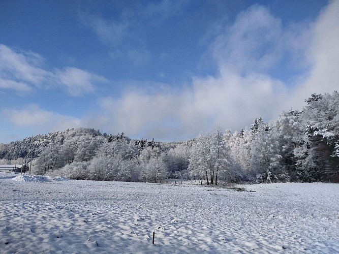 Vue depuis les chambres.