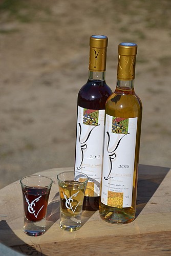 le produit emblématique ! le vin paillé !_7