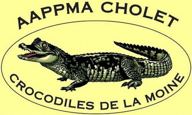 A.A.P.P.M.A Crocodiles de la Moine